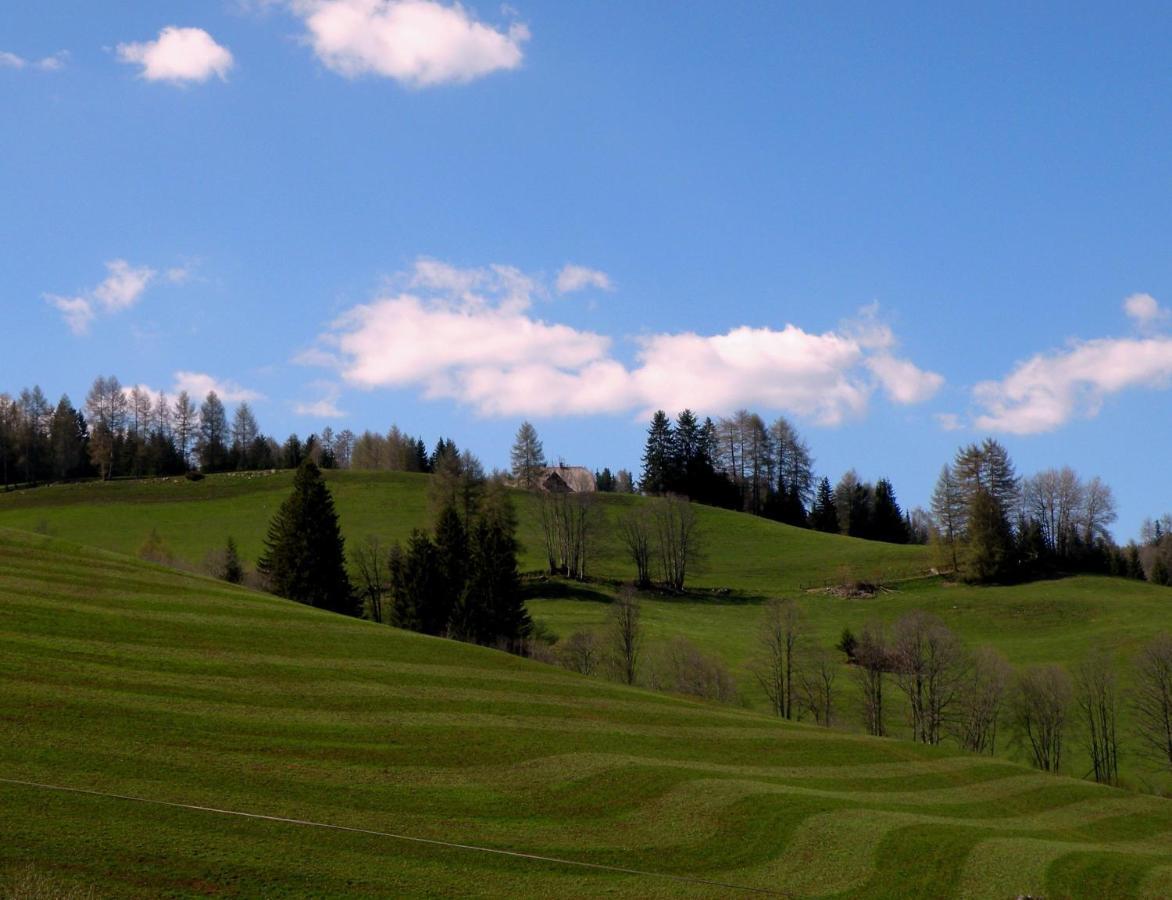 Urlaub Im Zirbenland Villa Obdach Eksteriør billede