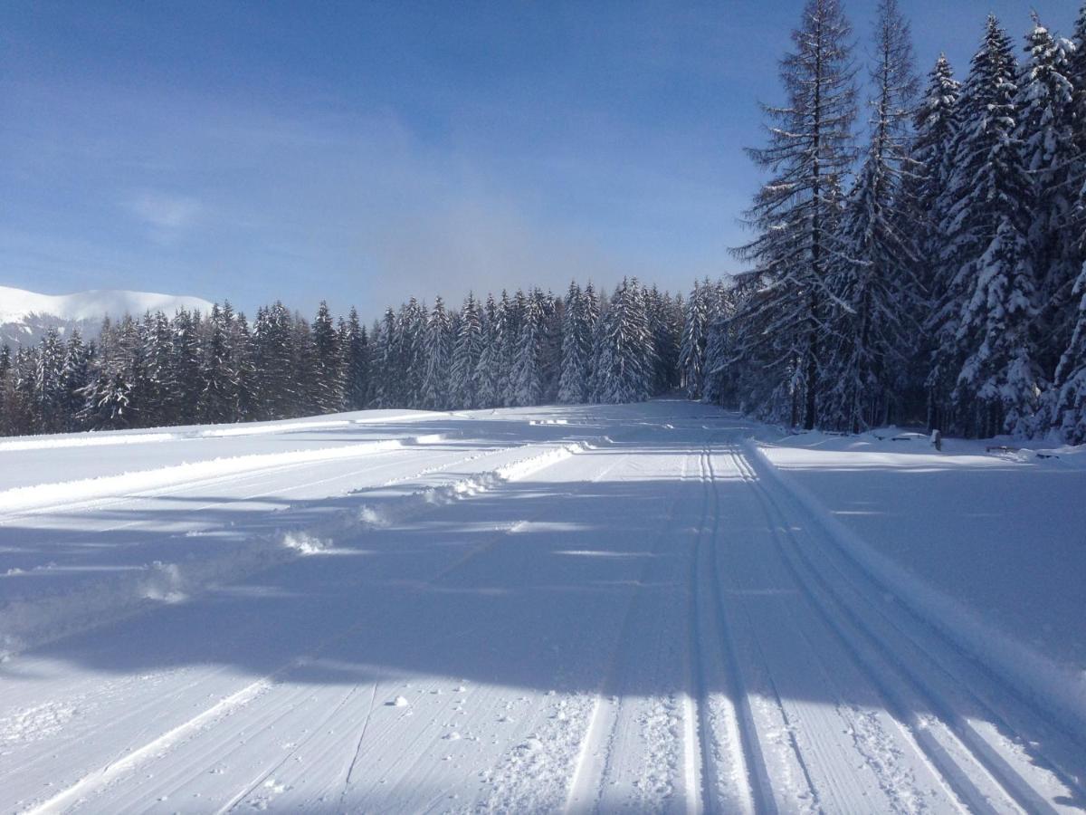 Urlaub Im Zirbenland Villa Obdach Eksteriør billede