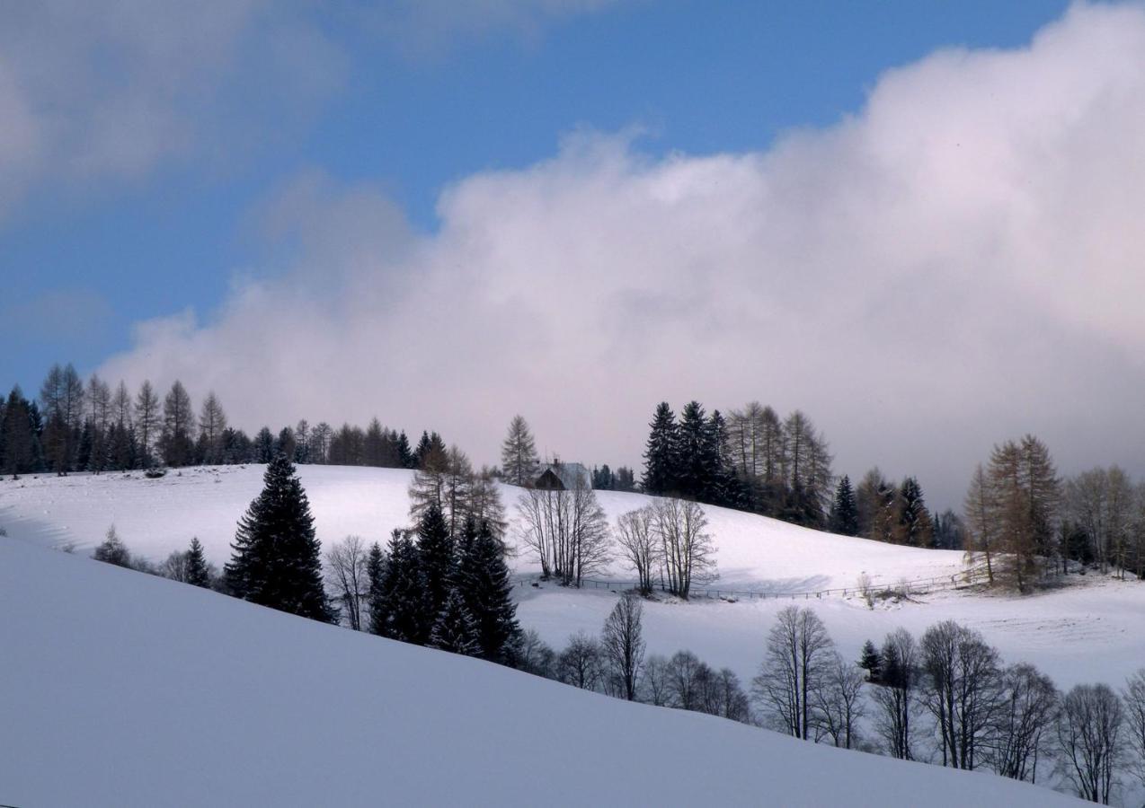 Urlaub Im Zirbenland Villa Obdach Eksteriør billede