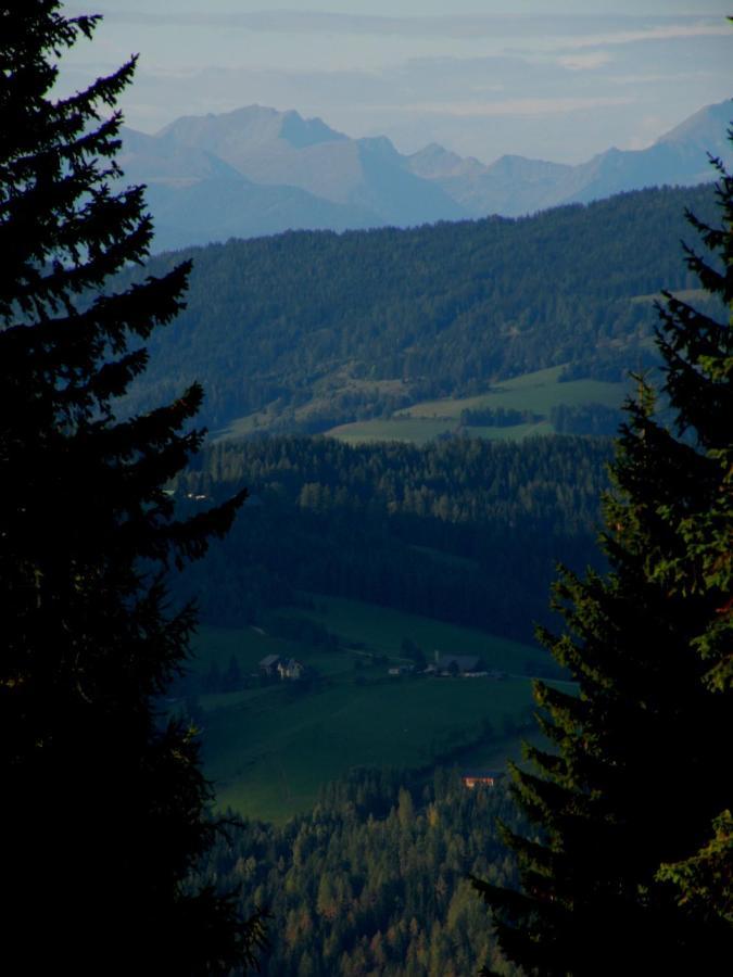 Urlaub Im Zirbenland Villa Obdach Eksteriør billede